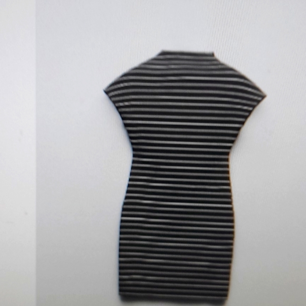 NWT Zara Short stretch knit dress